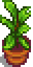 House Plant.png