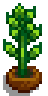 House Plant 12.png