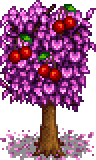 Cherry Stage 5 Fruit.png