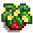Small Plant.png