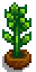 House Plant 12.png